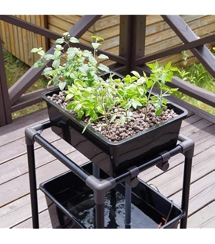 Amazon | アクアポニック 水槽 水耕栽培システム 植物 水栽培 システム